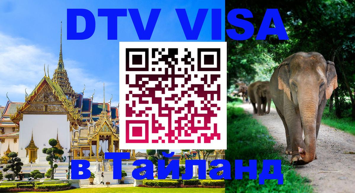 Оформление DTV визы под ключ: стоимость и тарифы, только загранпаспорт - 09.01.2026 